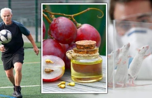 How to live longer: Common dietary supplement extends lifespan in stunning study