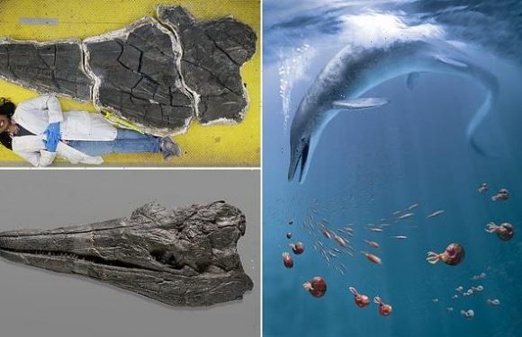 Huge reptile with 56ft body once roamed the seas of what is now Nevada