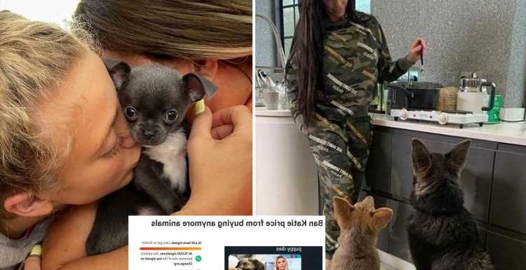 Katie Price petition to stop her buying animals has DOUBLED in signatures since she gave Princess's puppy away