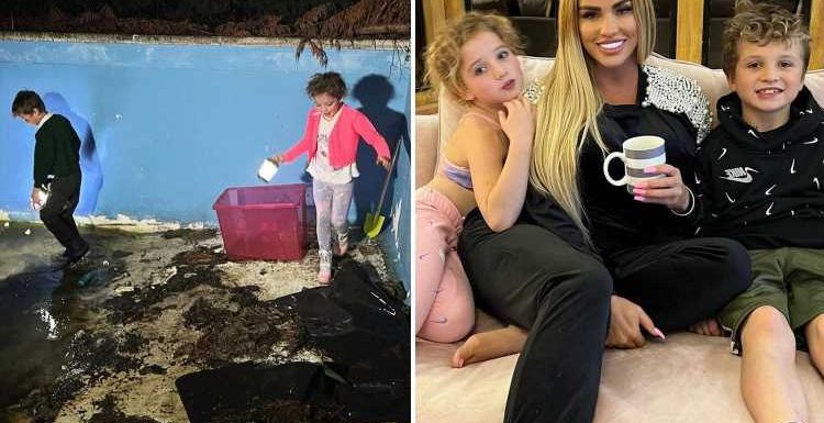 Katie Price reveals horrific state of Mucky Mansion's swimming pool as she hunts for FROGS in the mud at the bottom