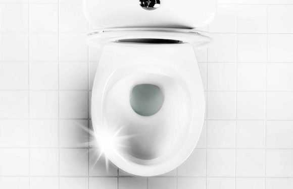 Mrs Hinch fans share 89p hack which gets those annoying yellow stains off loo seats in seconds