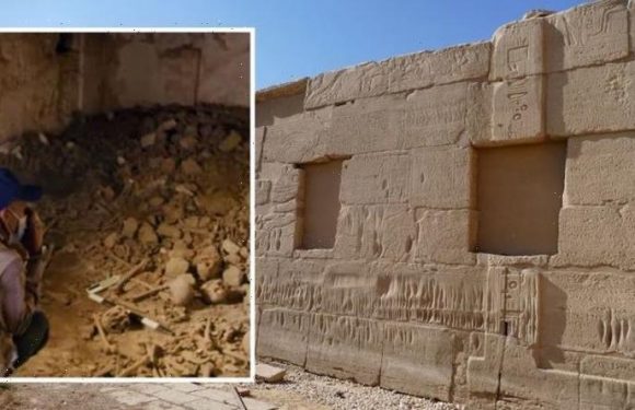 ‘Once in a lifetime find’ Hundreds of human skulls uncovered in Egyptian tomb