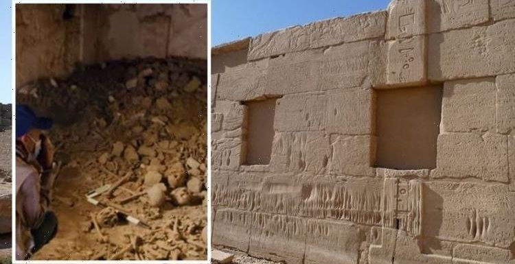 ‘Once in a lifetime find’ Hundreds of human skulls uncovered in Egyptian tomb