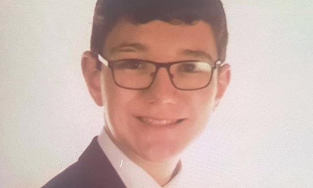 PICTURED: Boy killed after being knocked down by van in 'hit and run'