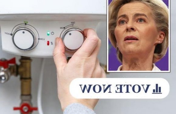 POLL: Should gas be considered ‘green’ as EU locks horns over VDL’s controversial plot?