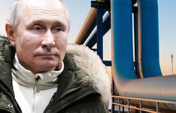 Putin ‘broadens influence’ through Europe as energy crisis sees Gazprom profits soar