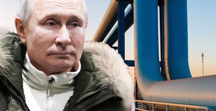 Putin ‘broadens influence’ through Europe as energy crisis sees Gazprom profits soar