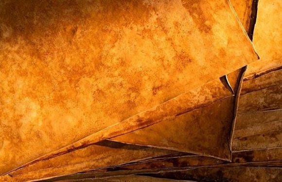 Scientists develop a vegan alternative for leather from fungi