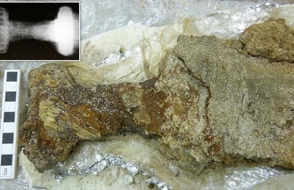 Stunning Viking sword is discovered in Orkey