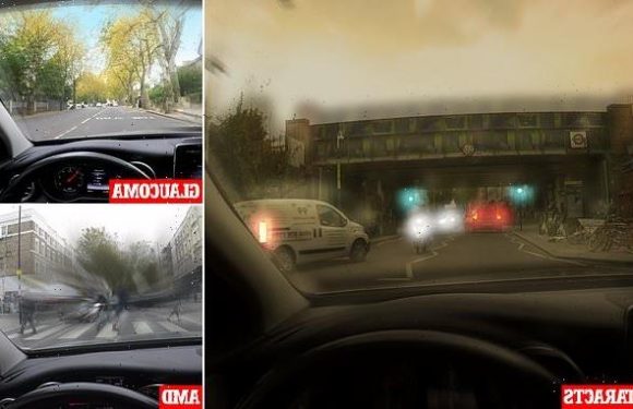 Terrifying images reveal what it's like driving with eye conditions