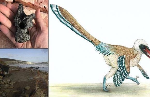 Terrifying velociraptor relative once roamed the Isle of Wight