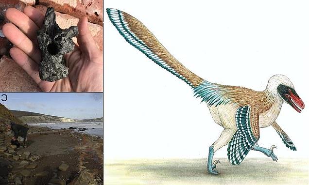 Terrifying velociraptor relative once roamed the Isle of Wight