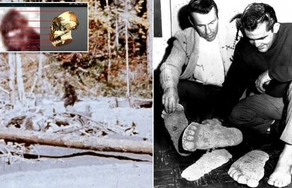 'The Proof is Out There' analyzes famous 1967 Bigfoot film