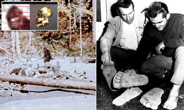 'The Proof is Out There' analyzes famous 1967 Bigfoot film