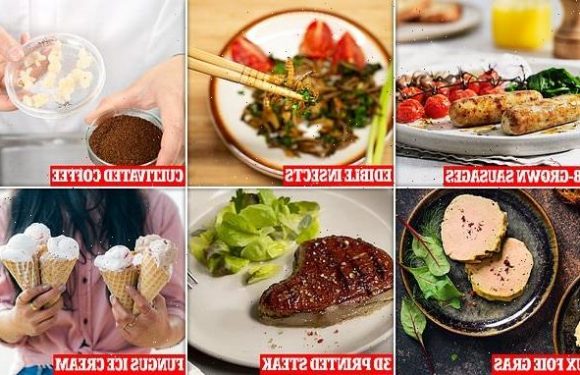 The future of food could include insect burgers and printed meat