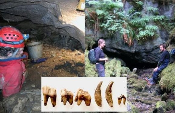 Tooth from the Americas' oldest-known domesticated dog found in Canada