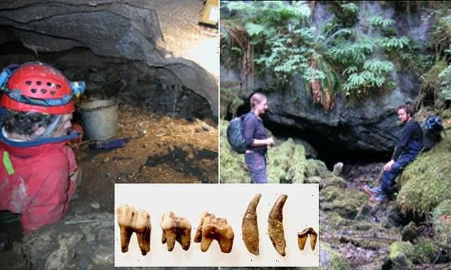 Tooth from the Americas' oldest-known domesticated dog found in Canada