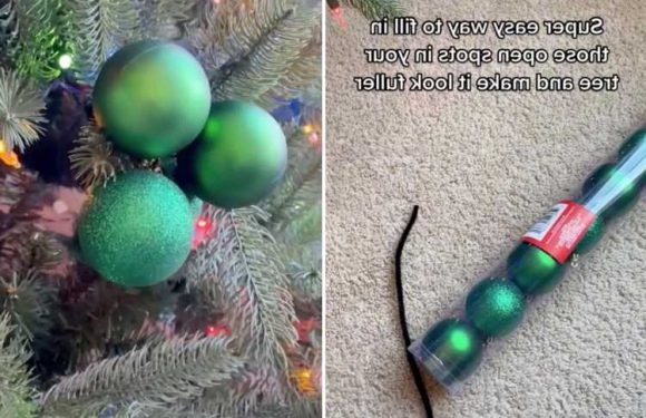 Woman reveals a GENIUS way to fill in those empty spots on your Xmas tree