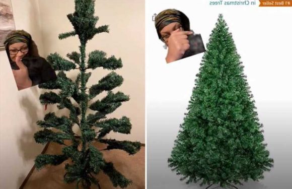 Woman reveals hilarious fail after ordering massive Christmas tree on Amazon – but everyone is saying the same thing