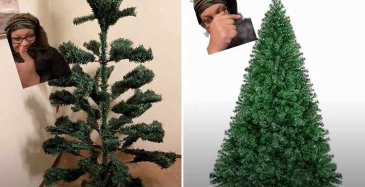 Woman reveals hilarious fail after ordering massive Christmas tree on Amazon – but everyone is saying the same thing