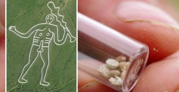 Archaeologists solve Cerne Abbas Giant puzzle after historic dig