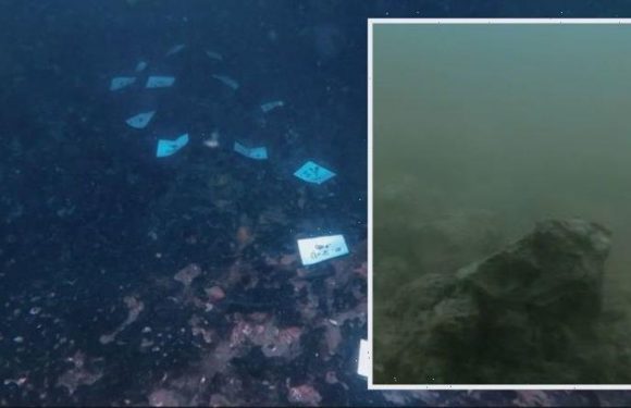 Archaeology: Mesolithic settlement found underwater — ‘Spectacular and unexpected’