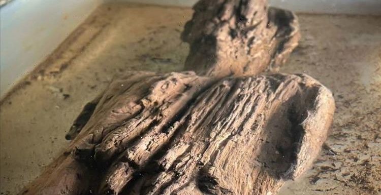 Archaeology breakthrough: ‘Extremely rare’ Roman wooden figurine found during HS2 work