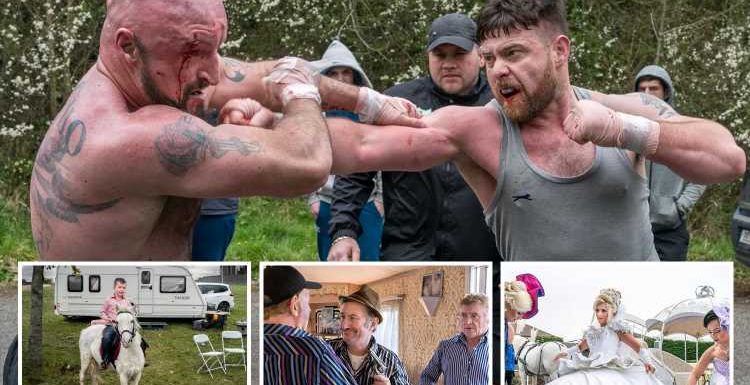 Bare-knuckle boxing brawls and lavish weddings capture beauty and brutality of Traveller life in Dublin – The Sun
