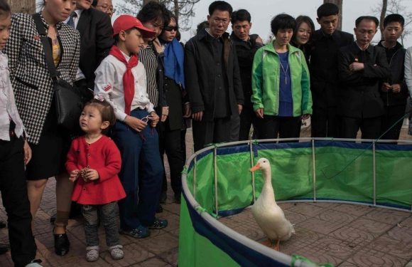 Barmy North Korean zoo features chain-smoking chimp and parrot that praises Kims