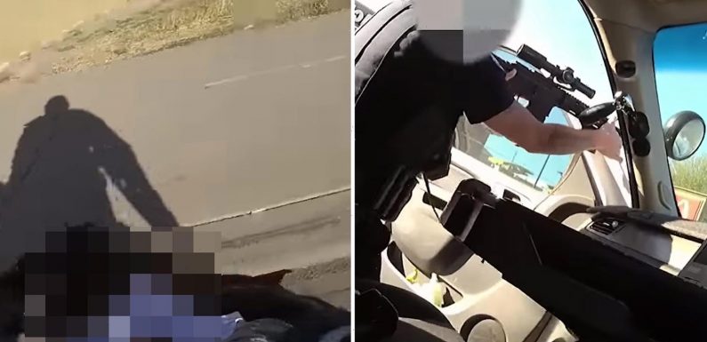 Bodycam shows horrific moment Arizona cop shot dead armed man as he held his baby son hostage and 'pointed a gun at him'