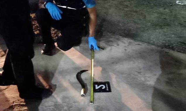 'British' tourist is hacked to death with a SICKLE in Thailand