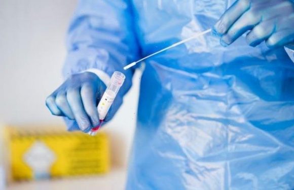 Covid breakthrough: UK develops ‘game-changing’ tech to diagnose virus quicker than PCR