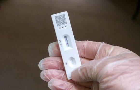 Covid testing nightmare as lateral flows nearly useless in schools – only 60% effective