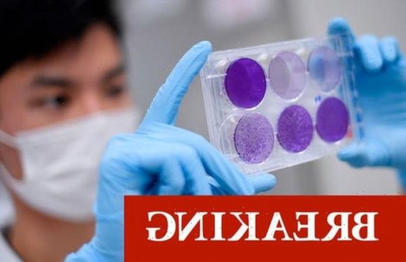 Covid warning: New ‘stealth’ Omicron ‘under investigation’ after 53 cases found in UK