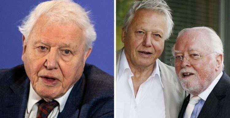 David Attenborough confessed regret over brother before tragic passing: ‘I’m sorry’