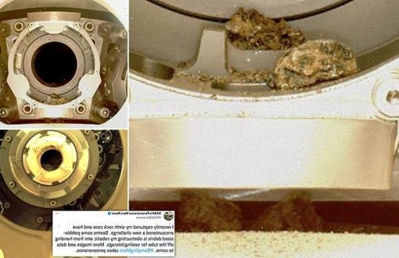 Debris prevents NASA's Perseverance from storing a new rock sample