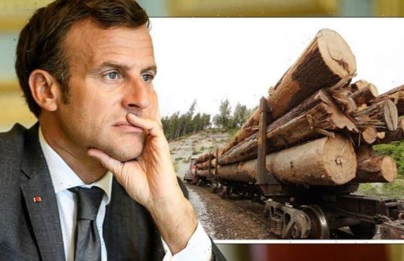 EU revolt: 10 members blow top at Macron as ‘excessive red tape’ thwarts energy plans