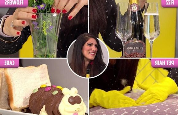 Expert reveals genius tips from preserving a bunch of flowers with an aspirin to picking up pet hair with rubber gloves