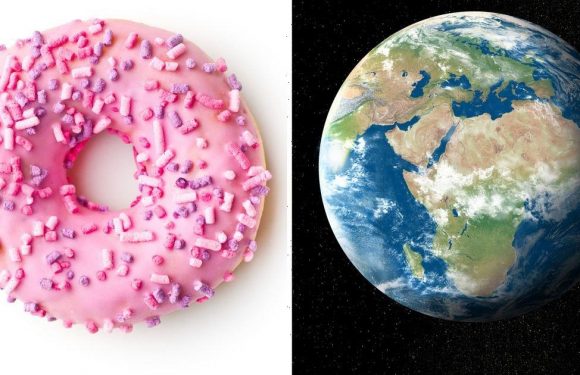 Flat Earthers believe world is ‘doughnut-shaped with giant hole in the middle’