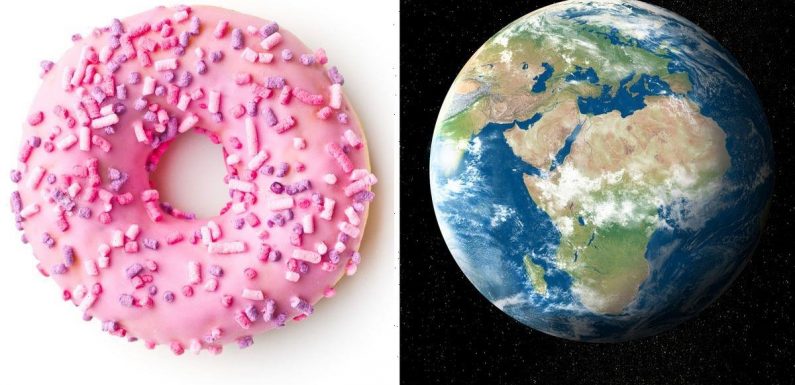 Flat Earthers believe world is ‘doughnut-shaped with giant hole in the middle’