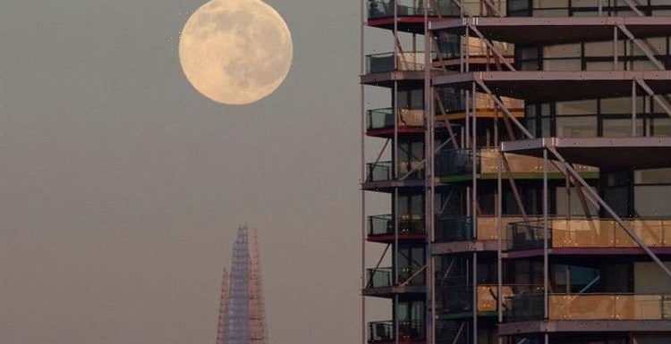 Full moon 2022: Exact time to see Wolf Moon at its best in the sky TONIGHT