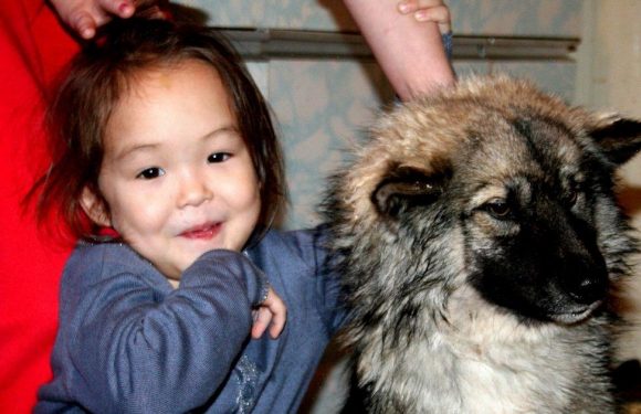 Kids raised by animals – from real life Mowgli to child found in chicken coop