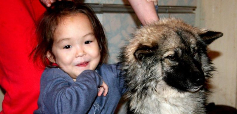 Kids raised by animals – from real life Mowgli to child found in chicken coop