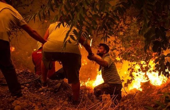 Last seven years the hottest on record 'by a clear margin' experts say