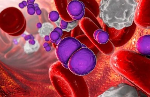 Meningitis warning: Cases of fatal disease soar as pandemic fuels ‘lack of immunity’