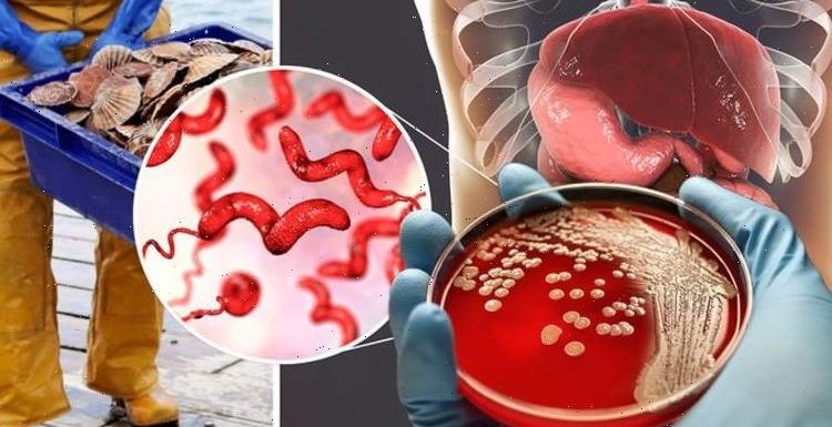 Met office data exposes dangerous bacteria linked with skin infections in UK waters