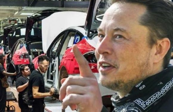 Musk tipped to build Tesla gigafactory in UK after lithium goldmine found in Cornwall