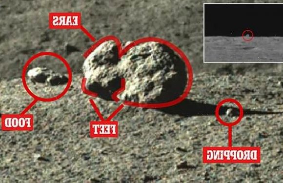 'Mystery hut' on the Moon is a rabbit-shaped rock, scientists reveal