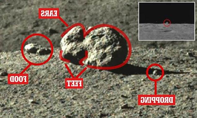 'Mystery hut' on the Moon is a rabbit-shaped rock, scientists reveal