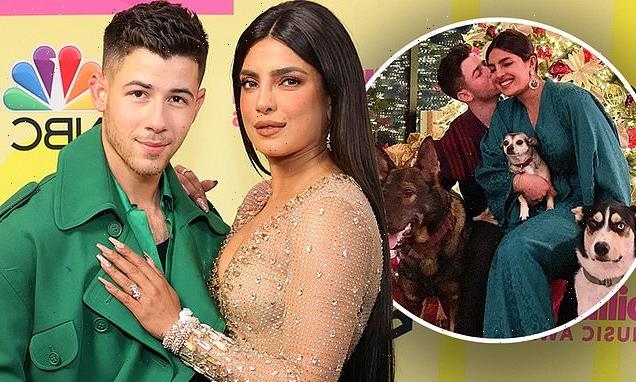 Nick Jonas and Priyanka Chopra spent 'months' baby proofing LA home